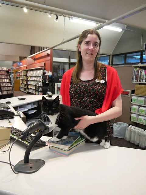 Kelly, the library cat, has work to do. Wanganui Library