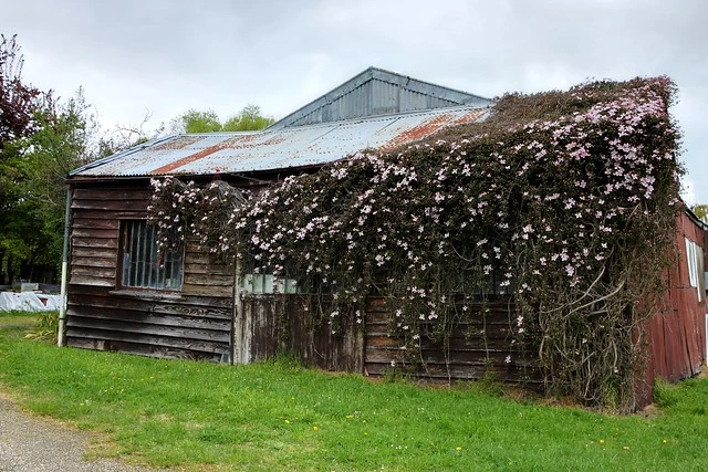 Old building, Cust, Canterbury, New Zealand