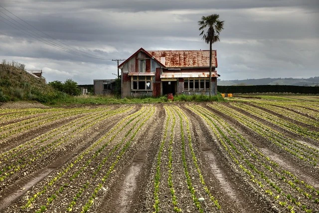 Old house, SH60 (Appleby Highway), Richmond, Nelson, New Zealand