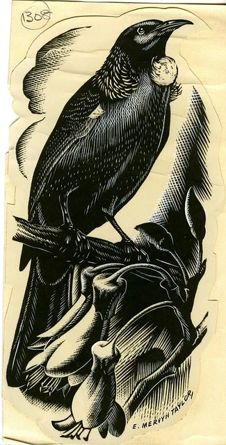 Tui, E. Mervyn Taylor