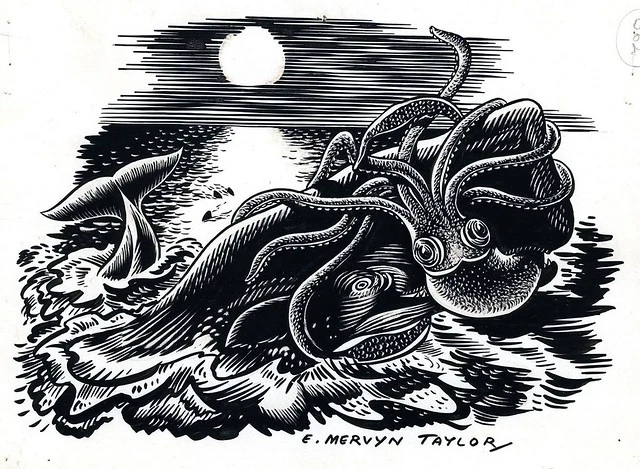 E. Mervyn Taylor, ink on paper