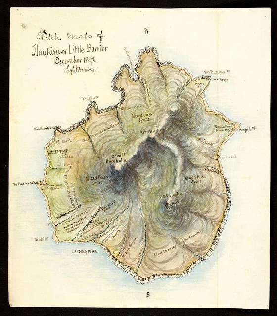 Map of Hauturu Little Barrier Island.