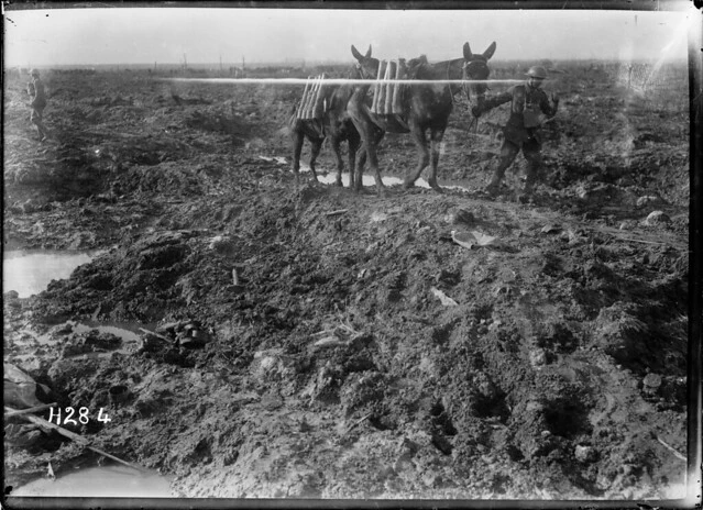 Soldier leading mules laden with munitions through mud, Kansas Farm, France