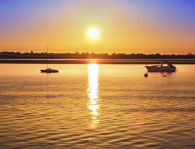 Tauranga New Zealand