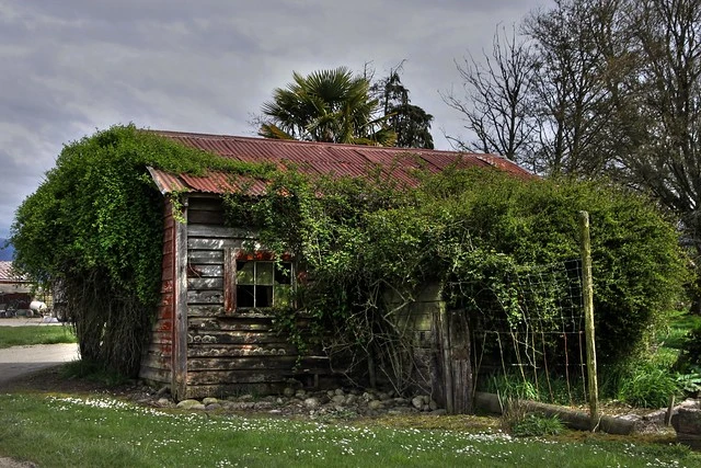 Old building, Totara Flat, West Coast, New Zealand