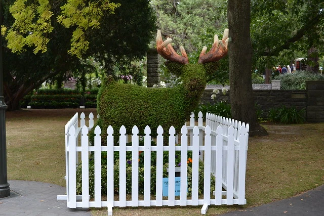 Topiary Menagerie