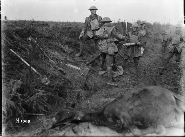 New Zealand soldiers at the front near Le Quesnoy