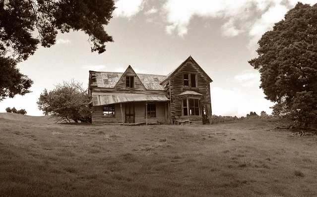 Tasman Tumbledown (6)