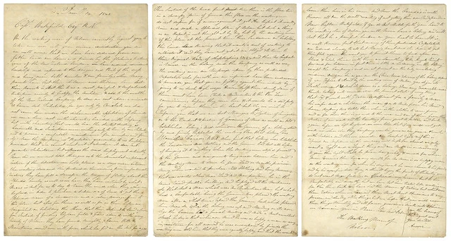 Petition from the Working Men of Nelson