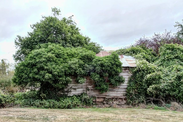 Old house, Temuka, Canterbury, New Zealand