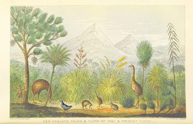 British Library digitised image from page 6 of "Te Ika a Maui, or, New Zealand and its Inhabitants ... Second edition, etc"
