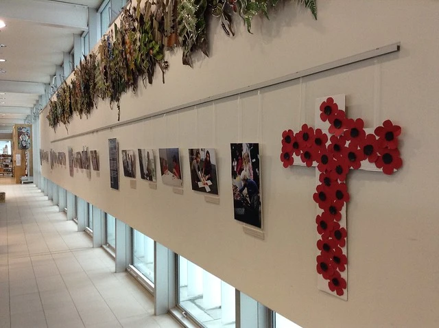 Rannerdale Veterans' Home Display at Upper Riccarton Library