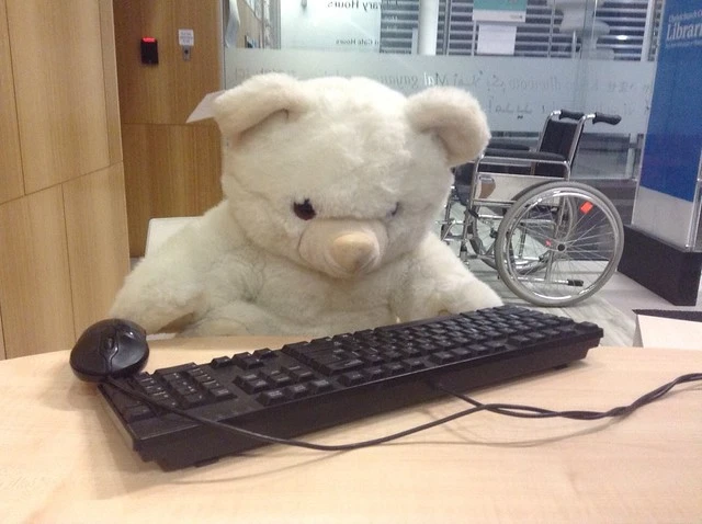 Computer bear