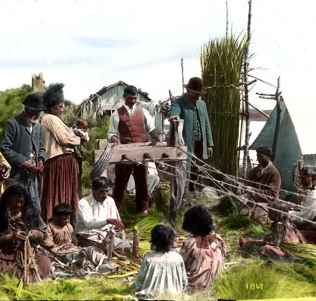 Māori Rope-making, Lantern Slide