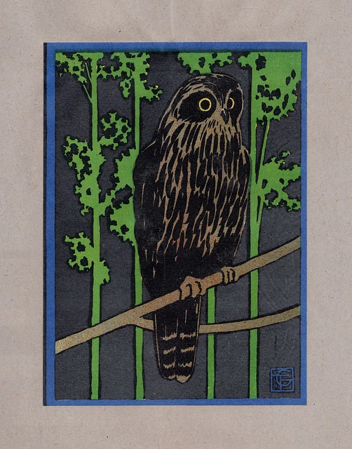 Ruru: Portfolio of birds in colour, 1919