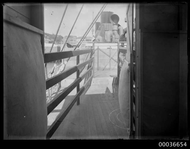 Phar Lap's quarters on deck of SS MONOWAI