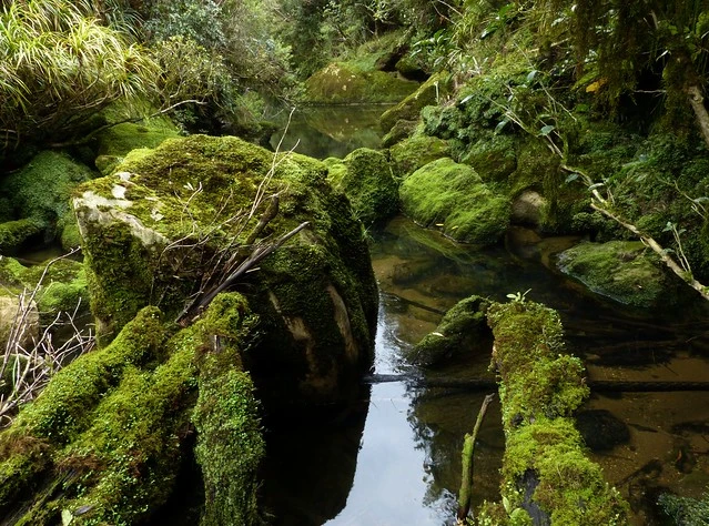 Limestone Boulders, Bullock Creek,Paparoa National Park