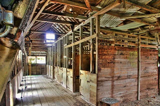 Abandoned Wool Shed, Argyll East, Hawkes Bay, New Zealand