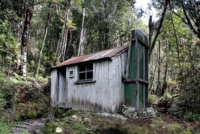 Old gold miner's cabin, Ross, West Coast, New Zealand