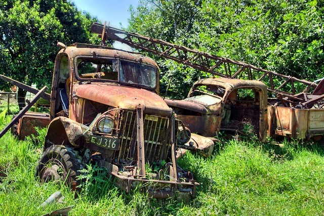 Two old trucks - USA World War II veterans - GMC CCKW - abandoned, Waikato, New Zealand