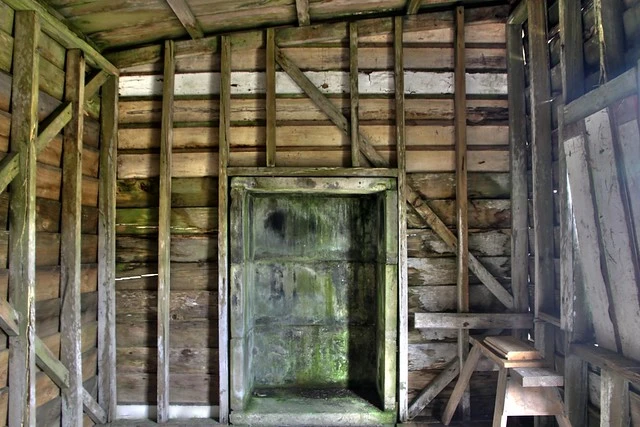 Old cabin, Mamaku, Rotorua, Bay of Plenty, New Zealand