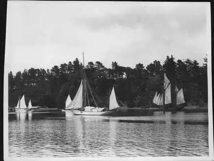 Yachts ''Ilex", "Thistle", "Viking" and ketch "Clematis" drying sails, in Mansion House Bay.