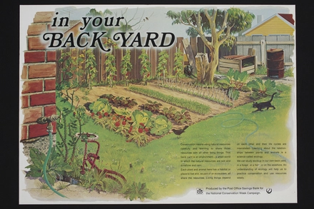 in your back yard