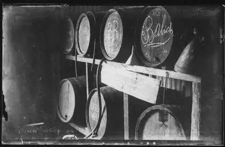 [Wine barrels of the Babich Winery]