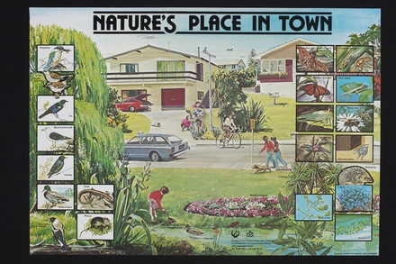 Nature's place in town
