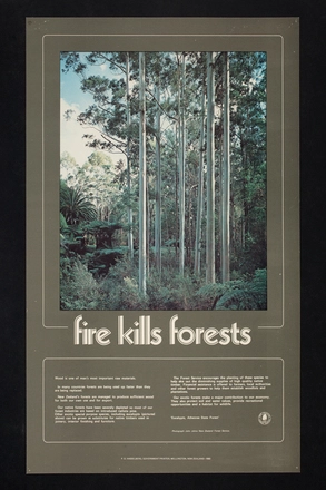 Fire kills forests
