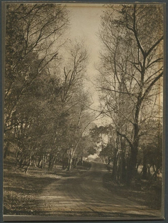 [Entrance to Auckland Domain from Stanley Street.]