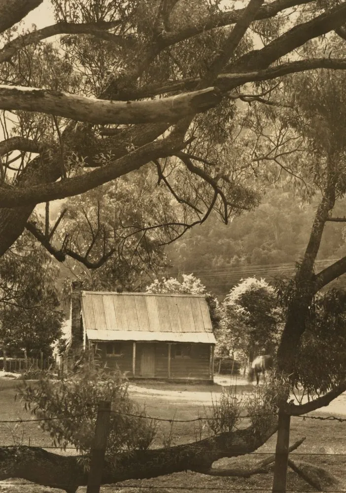 Pumpkin Cottage, Silverstream