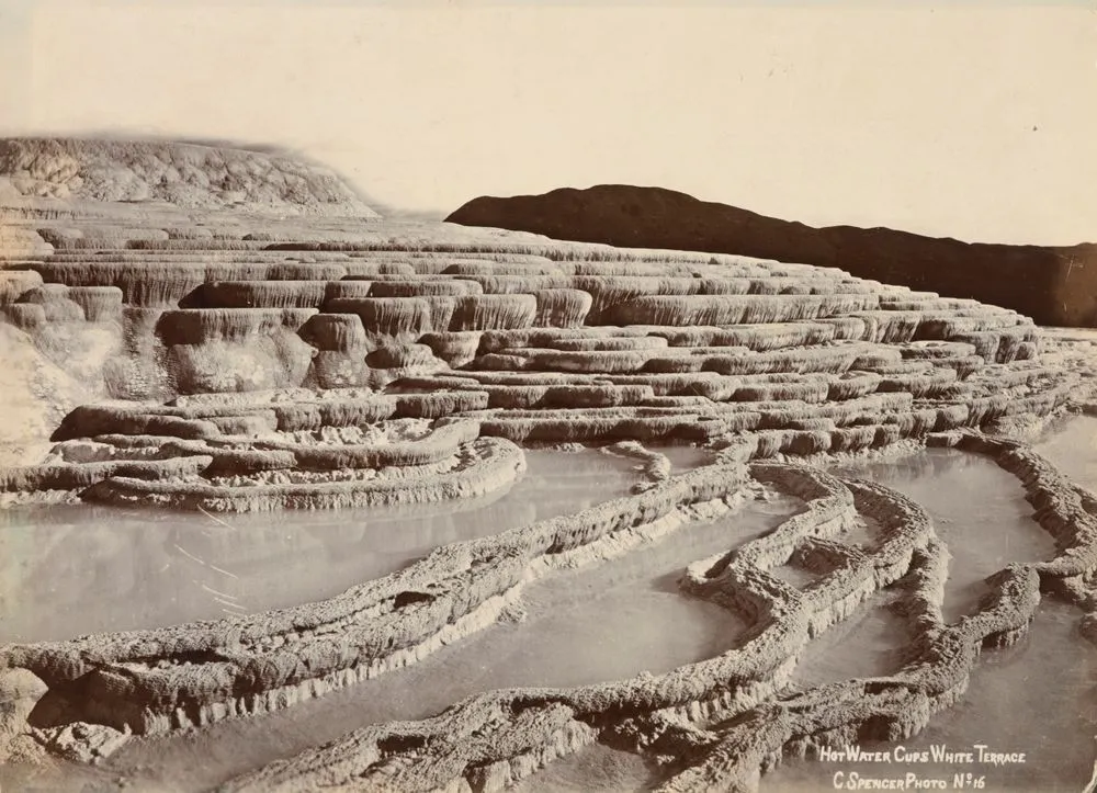 Hot Water Cups, White Terrace