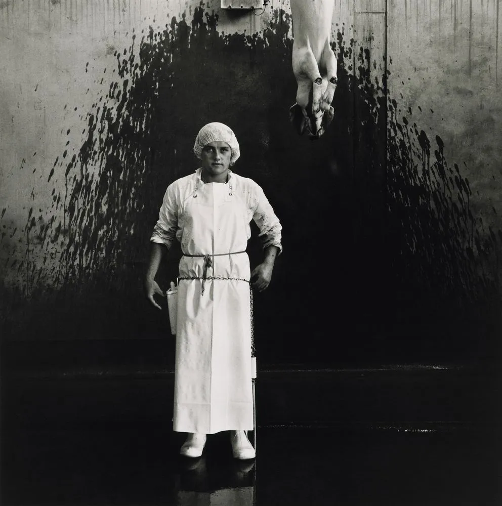 Ronny Lewis, labourer, abattoir pig chain, Christchurch 1982. From the series: Working men