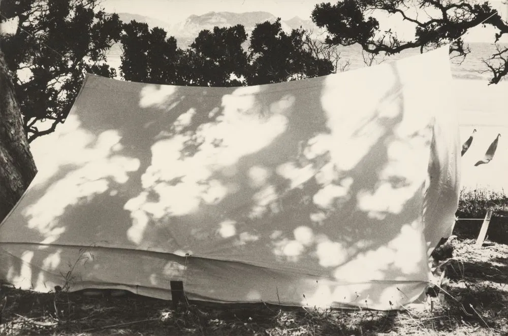 Great Barrier Island, 1971