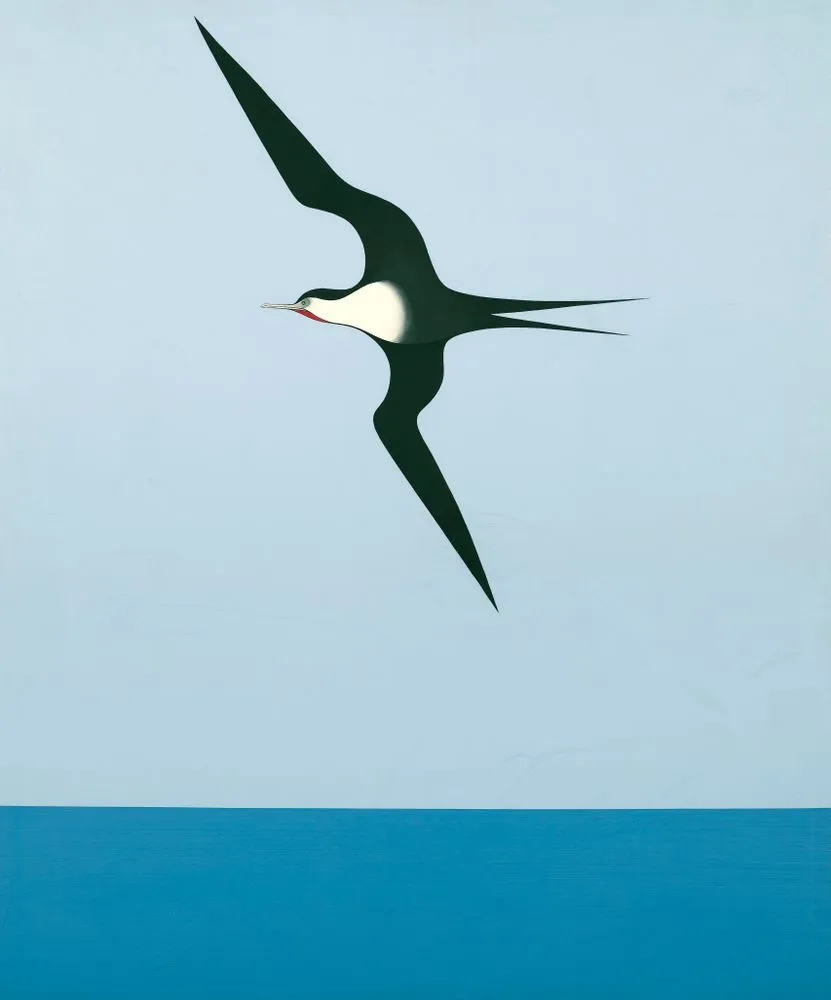 Pacific frigate bird I