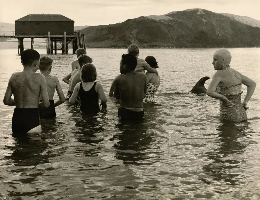 Crowd in the water, Opononi