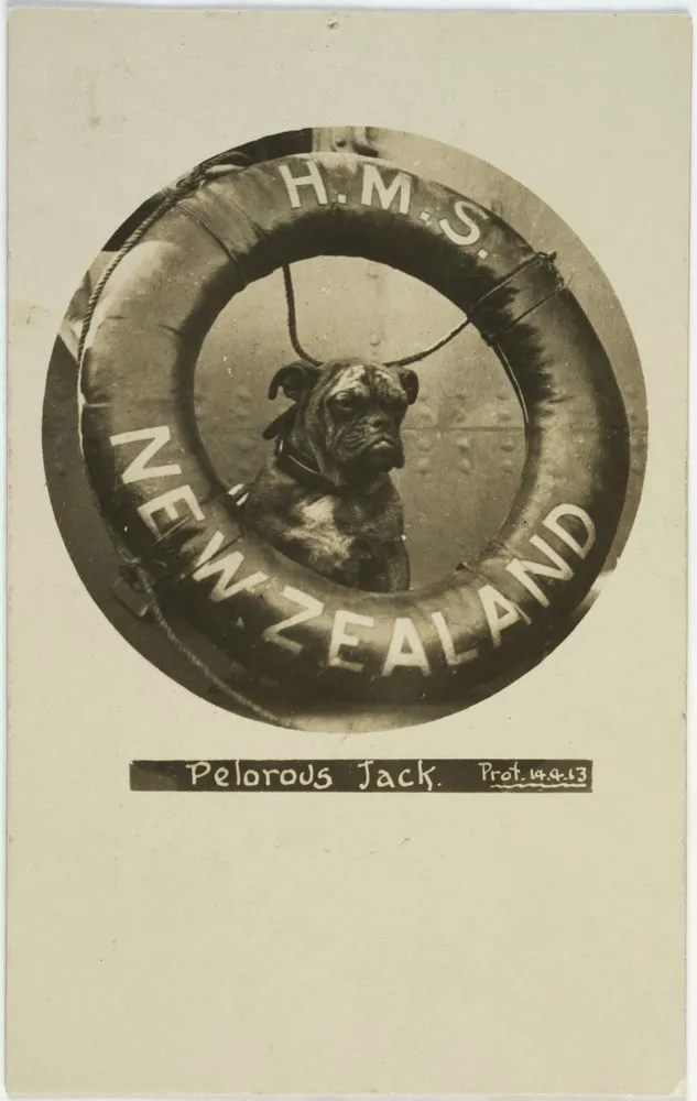 Pelorus Jack [HMS New Zealand's bulldog mascot]