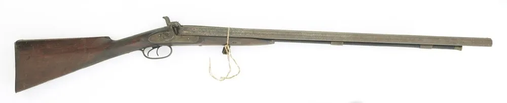 Percussion shotgun, double barrel.