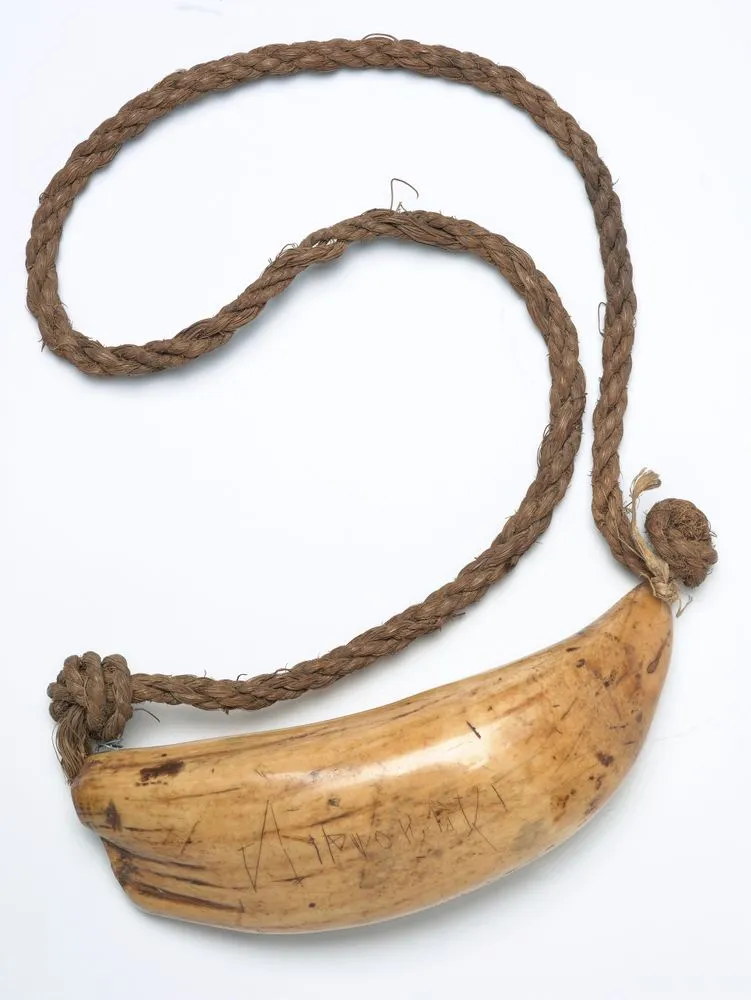Tabua (Ceremonial whale tooth)