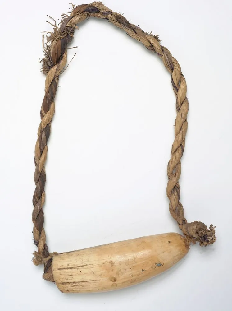 Tabua (Ceremonial whale tooth)