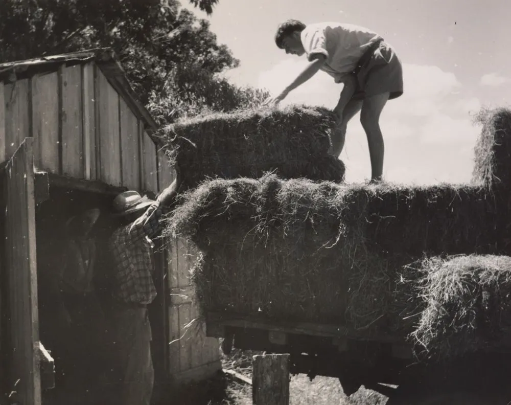 Into the Shed