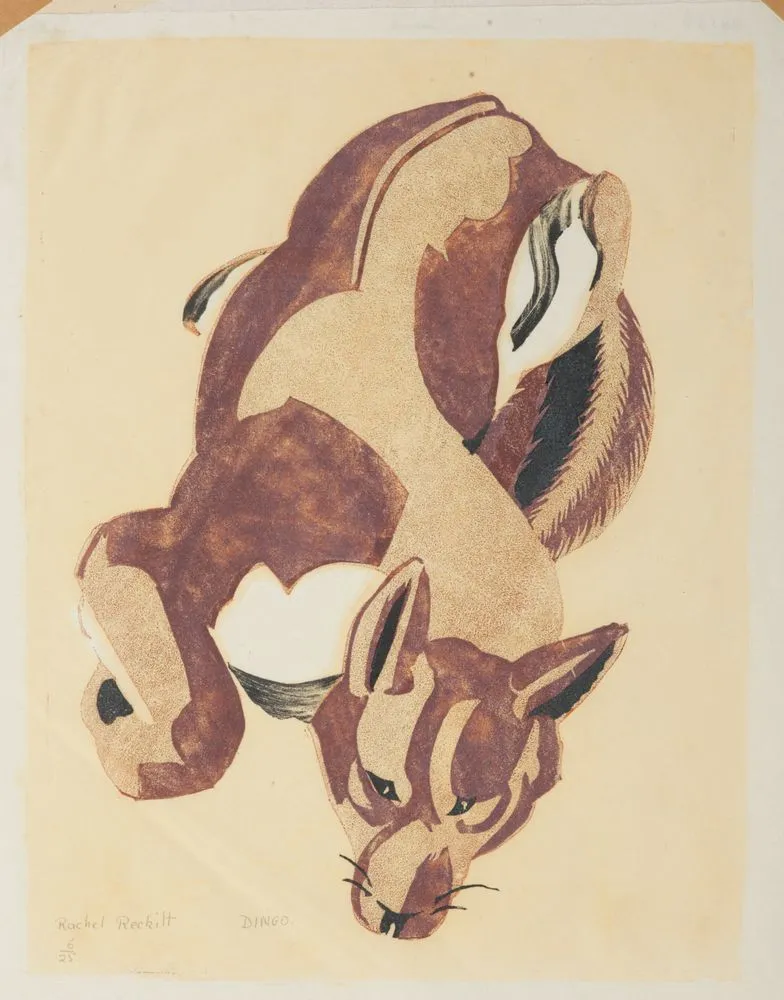 Dingo