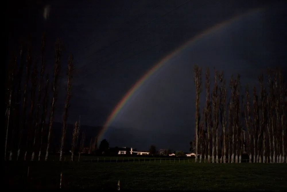 New Zealand Farming and Horticulture: NZ Farming