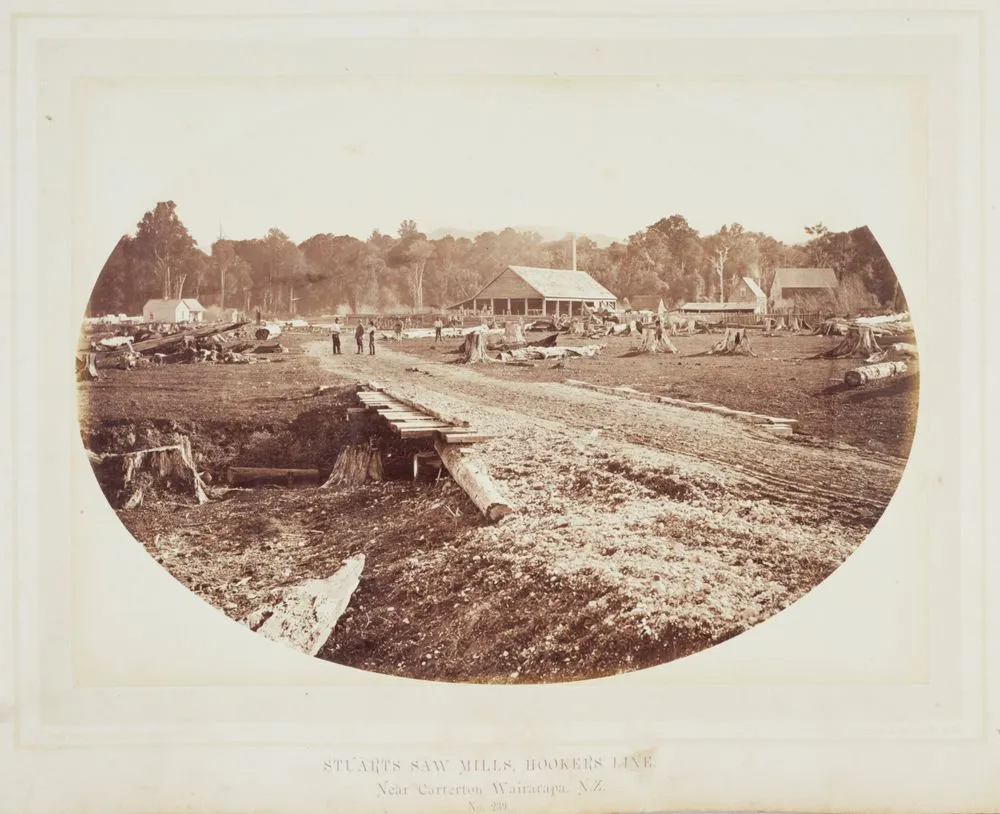Stuart's Saw Mills, Hookers Line, near Carterton, Wairarapa, NZ. From the album: Photographs of New Zealand Scenery - Wellington to the Wairapapa.