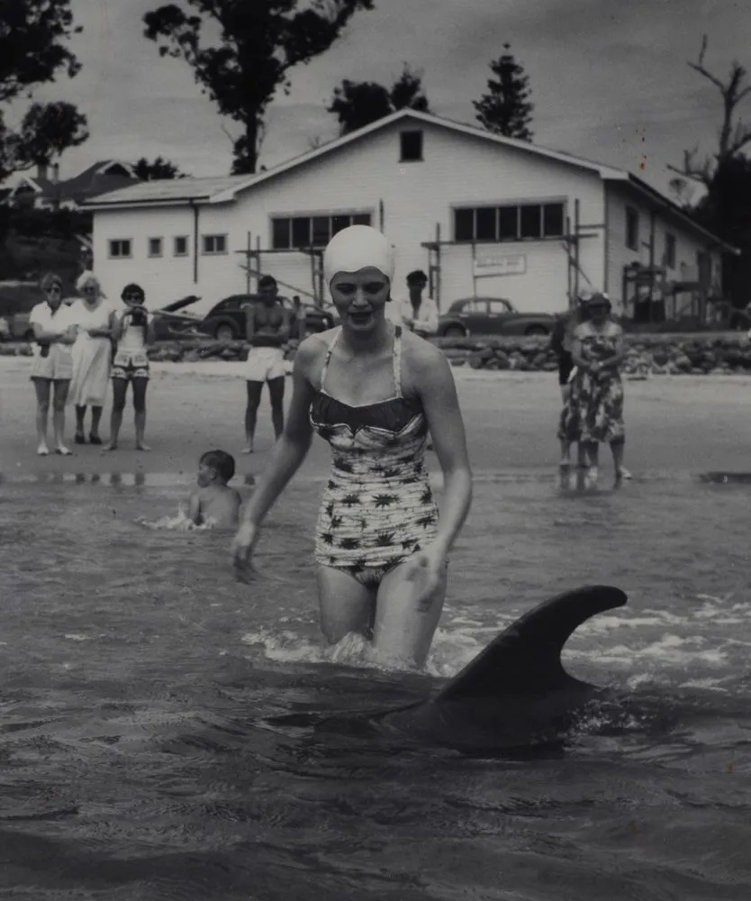 Opo the dolphin, Opononi