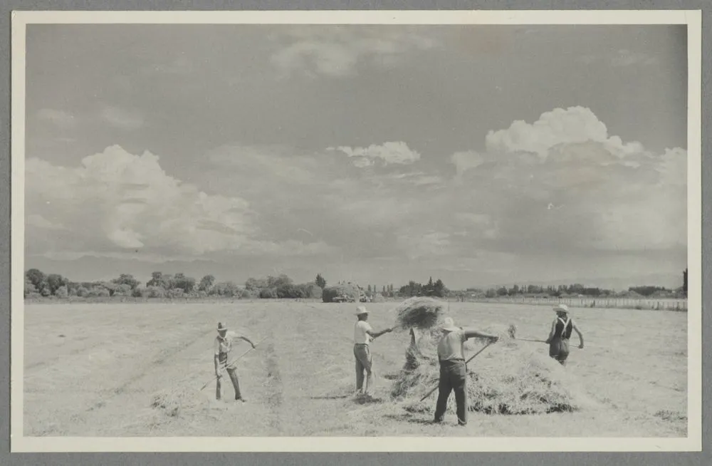 Hay baling, Pukeora farm, Waipukurau