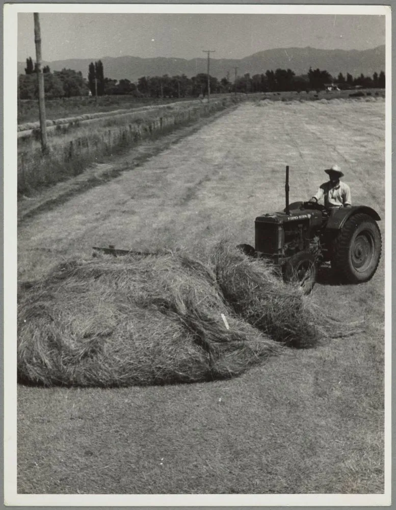 Baling hay, Pukeora farm, Waipukurau