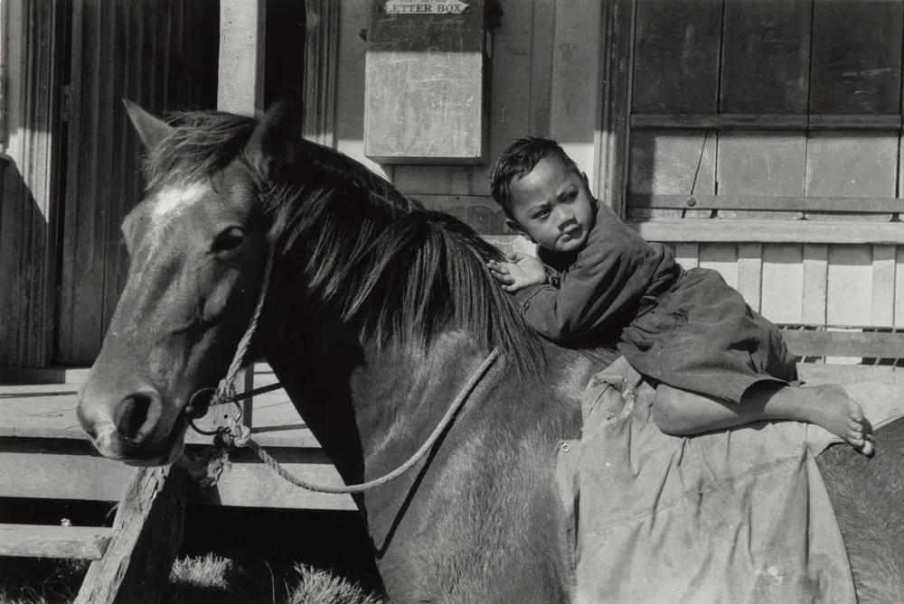 Boy on horseback, Northland