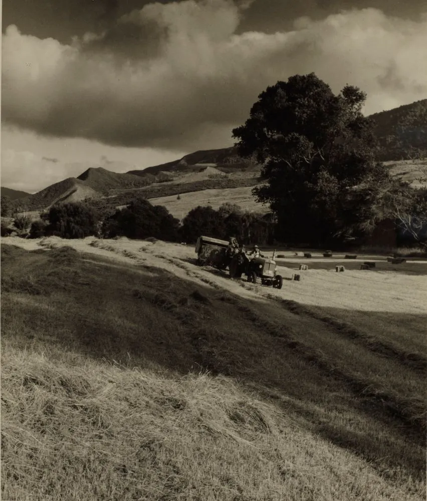 Ploughed field, Waimamaku farm property